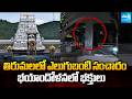 తిరుమలలో ఎలుగుబంటి సంచారం | Tirumala Updates | Tirupati | AP News | Sakshi TV