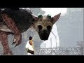 The last guardian vr demo playstation vr live on nalyo gaming