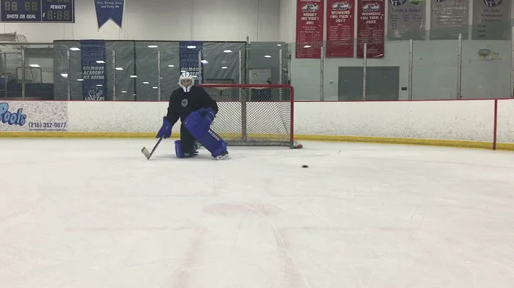 Gould - Conway Goaltending Training  @Neil Conway