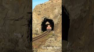 Train Goes Thru Rock Tunnel! #shorts Resimi