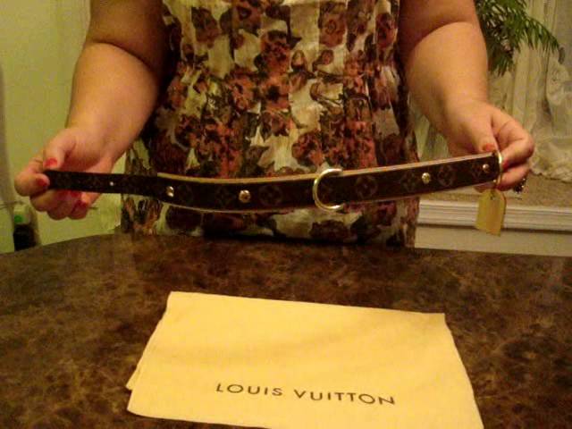 LOUIS VUITTON Baxter GM Dog Collar Review! 