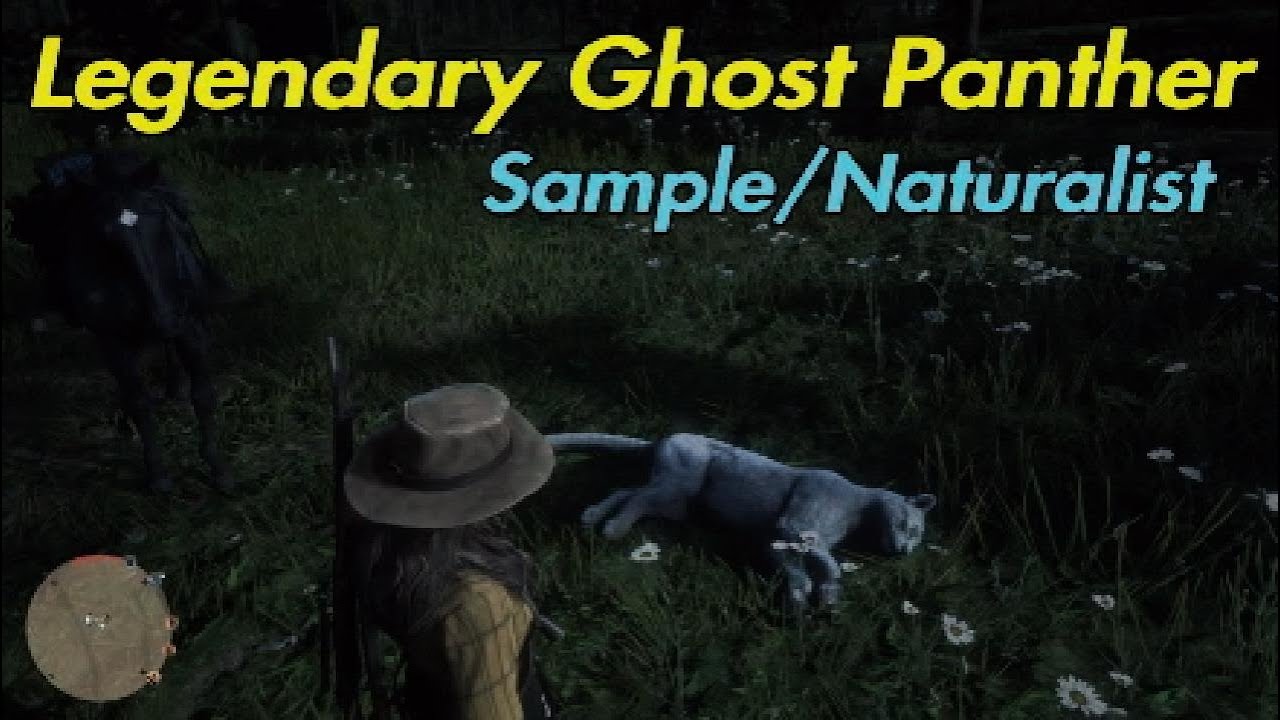 Red Dead Online Legendary Ghost Panther Sample/Naturalist Location RDR2