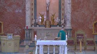 15th Sunday in Ordinary Time - 2026