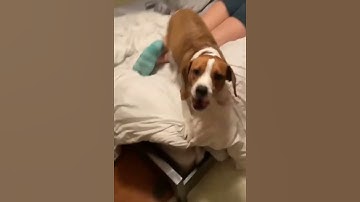 He Protect He Attack But Most Importantly He Don’t Like That