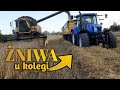 Żniwa u Kamila, mokre pszenżyto, jadę na owies [vlog#95]