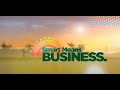 Smb business insight