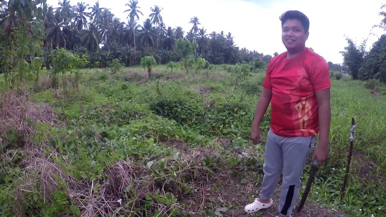 Mang hagbas ta sa bukid