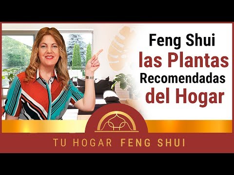 Video: Que Plantas Colocar En La Casa En Feng Shui