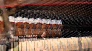 Damper Felt Replacement, Unison Tuning, Action Adjustment