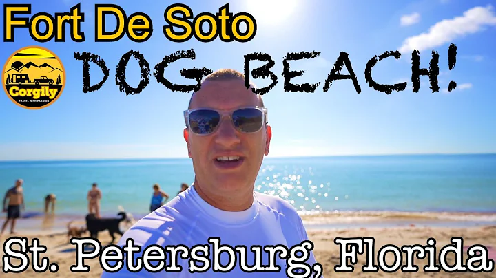 Desoto Dog Beach & Campground at St. Petersburg Fl...