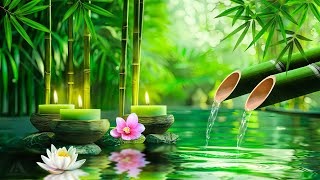 Relaxing Music for Stress Relief with Bird Sound, Relaxing Piano, Bamboo Water Fountain, Spa, BGM