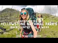 Hiking Yellowstone National Park's Backcountry - The Traveling Tacos - The Thorofare Trail 2019