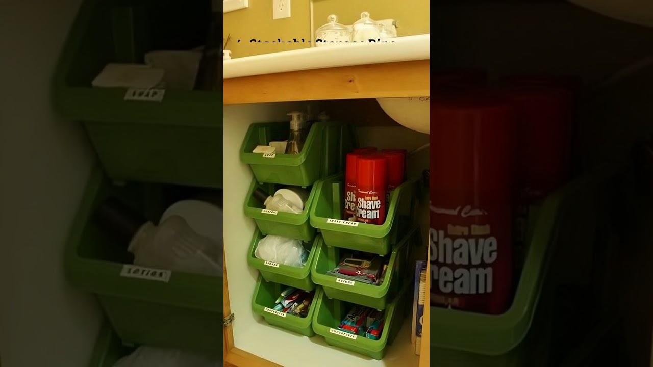 20 Genius Under the Sink Storage Ideas to Organize Your Cabinets 