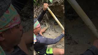 Manual gold mining process⛏️#GoldMining #ManualMining #GoldProspecting #GoldHunter #MiningLife