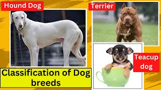 Classification of dog breeds
