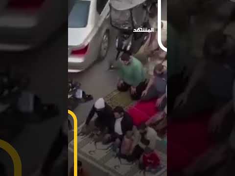 لحظات صادمة تفاجئ الجميع كلب يفاجئ المصلين في طرابلس اخبار المشهد