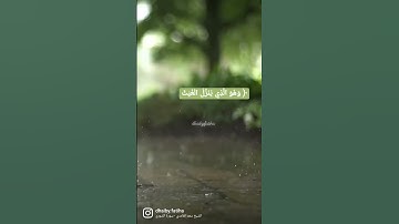 سورة الشورى - الآية 28