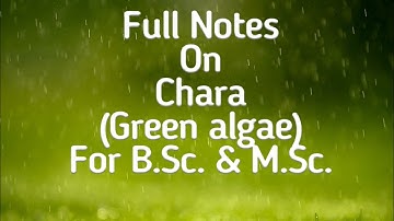 Chara (Green algae) Thallus Structure & Lifecycle for B.Sc., M.Sc. & NEET by Dr. A.K. Sharma