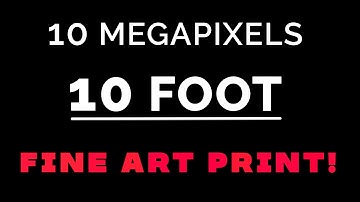 10 MEGAPIXELS TO 10 FOOT PRINT!
