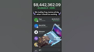 The 100X Meme Coin Madness - A Crypto Love Story