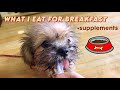 3-MONTH-OLD SHIH TZU MORNING ROUTINE | Tokyo the Sweet Tzu