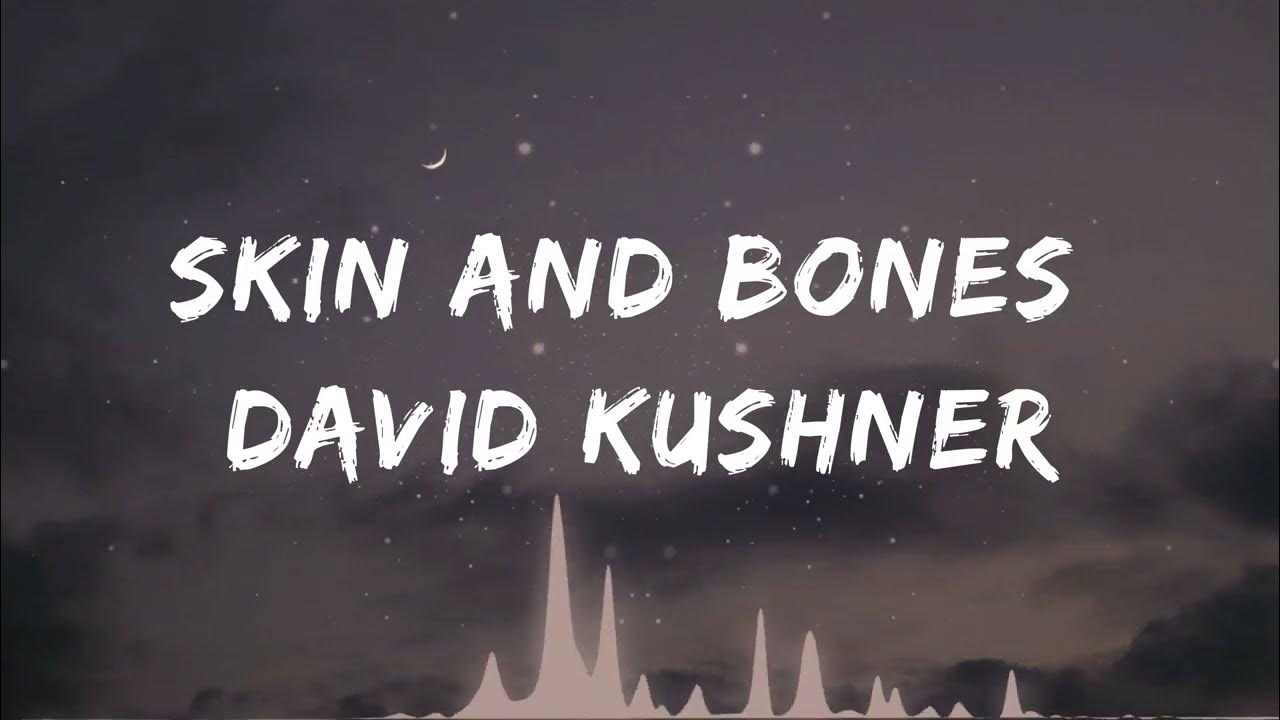 Skin and Bone-David Kushner(lyrics) Skin and Bone-David Kushner(lyrics)