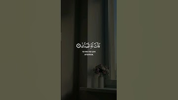 عبس وتولى||حالات واتس قرآن ||القارئ#محمد_أحمد_حسن