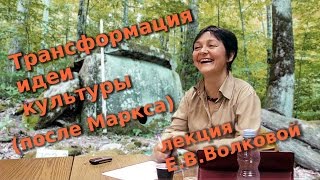 Трансформация идеи культуры (после Маркса)