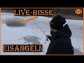 Erfolgreich EISANGELN / Live-Bisse / So läuft es👌