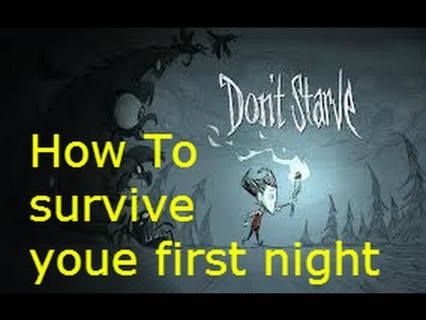 Don't Starve: How to survive your first night