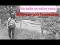 No todo es color rosa / Sindrome post Compostela #caminodecompostela #chemindesaintjacques