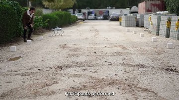 Performing a Task Alongside a Robot: Exploring the Impact of Social Comparison