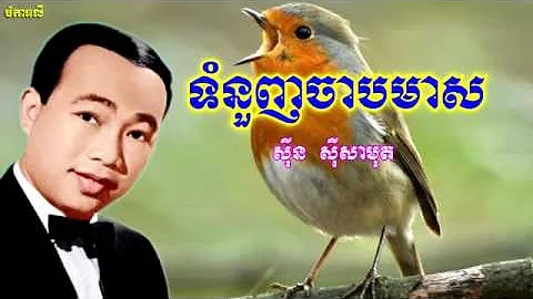 ទំនួញចាបមាស  ច្រៀងដោយ សុីនសុី សាមុត