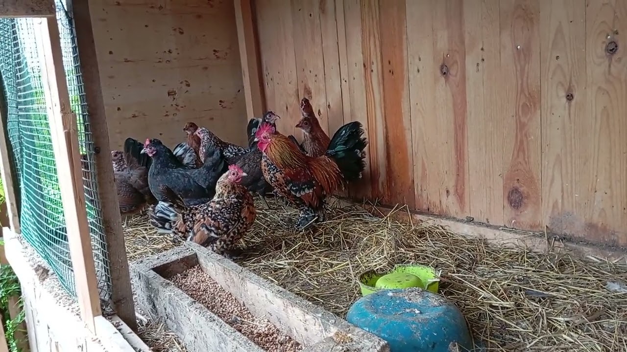 Жовтень у всій своїй красі 