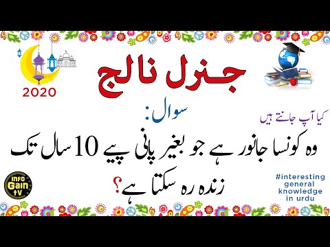 general knowledge questions and answers in urdu 2022 | interesting world facts | infogain tv