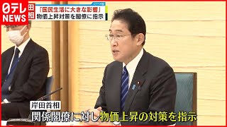 【岸田首相】物価上昇対策を閣僚に指示