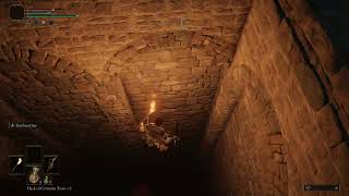 Death Barrier Bug - Elden Ring