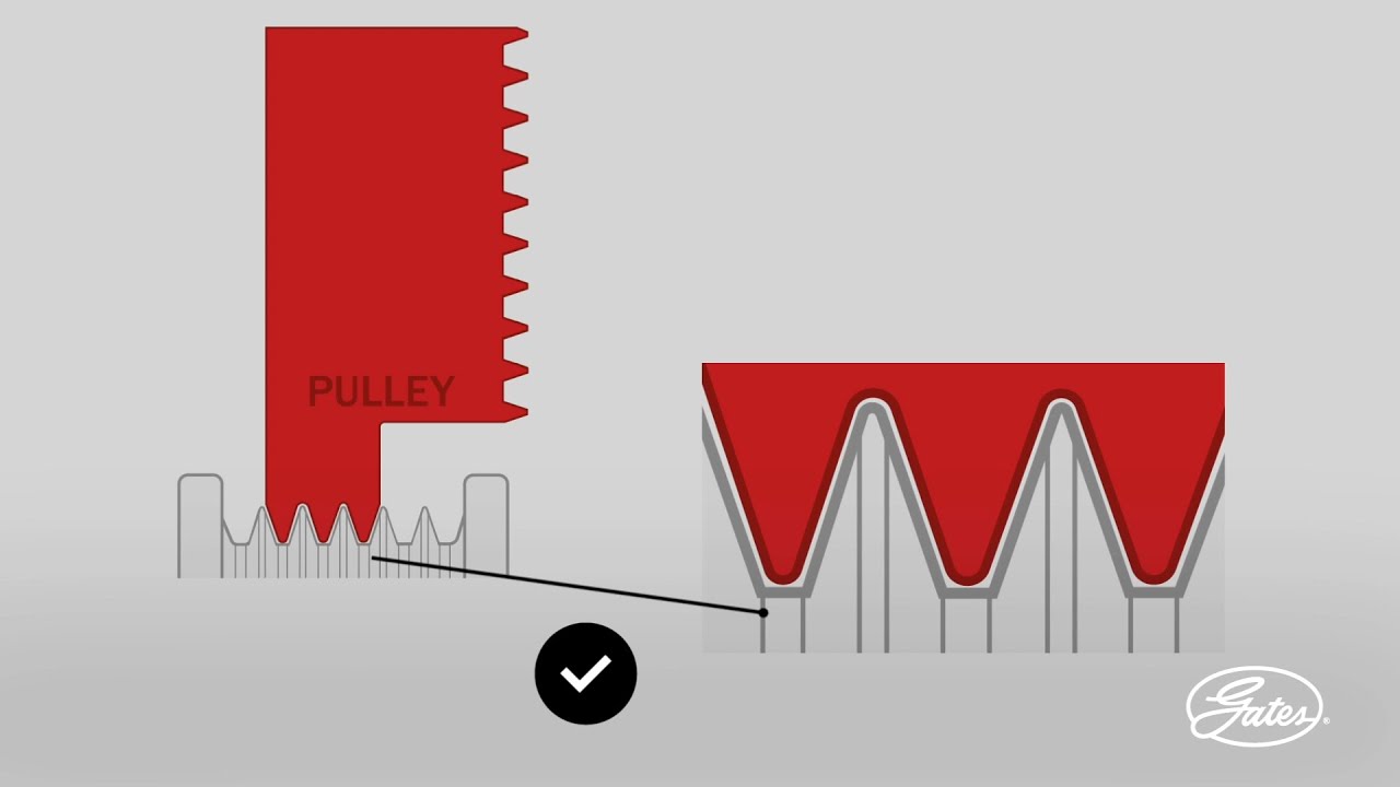 CONTITECH Keilrippenriemen 4PK1090 - Original Ersatzriemen Für Suzuki & Toyota