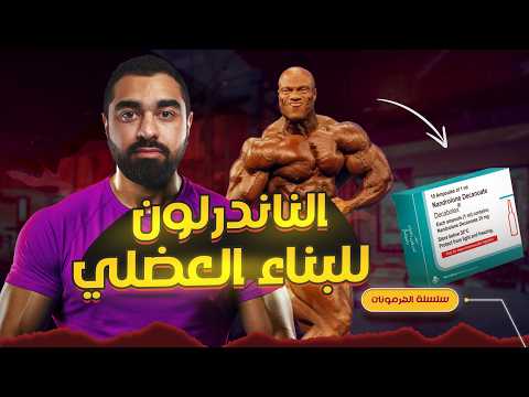 الديكا والمراحل المتقدمة لبناء العضلات كل شيء عن الناندرلون للمبتدئين دورة هرمونات 16