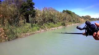 🎣❗❗ Pesca lobina en la Presa Vicente guerreo 🎣❗❗