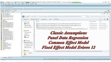 Classic Assumptions of Panel Data Regression Common Effect Model & Fixed Effect Model Eviews 12
