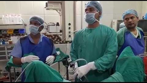 Candidates Doing Hands On Training in World Endourology Training Institute