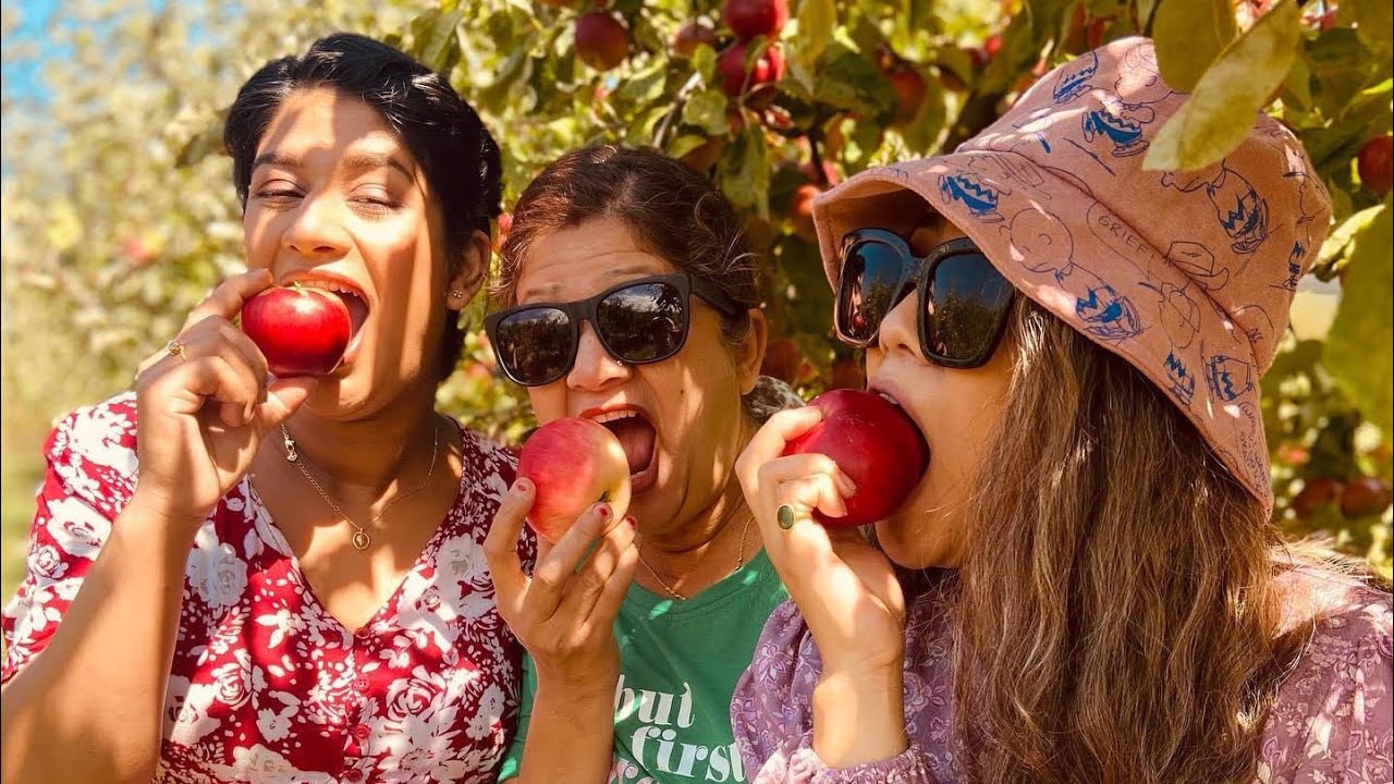 We ate too much fruits//Sorell Fruit farm Tasmania, Australia