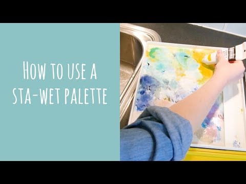 Using the Masterson Sta Wet Palette 
