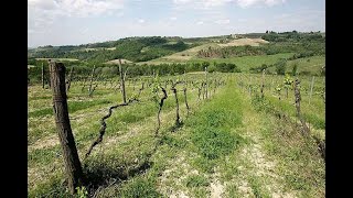 Winery in Chianti for sale