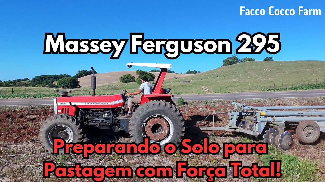 MASSEY FERGUSON 295 PREPARANDO O SOLO PARA PASTAGEM 🚜🌾#trator #masseyferguson