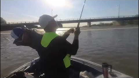 Hunting channel catfish - Câu cá Bông Lau Trên sông Grand River