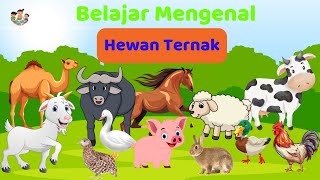 Belajar Mengenal Hewan Ternak - Dunia Anak Cerdas
