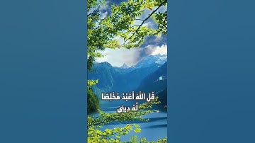 تلاوة ممتعة لسورة الزمر الآيات (13-15)