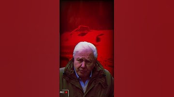 Sir David Attenborough on Zone Emissions - Stalker Call of Pripyat